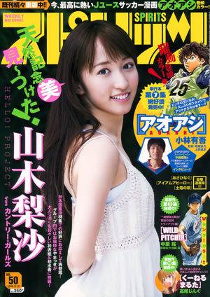 [Weekly Big Comic Spirits] Yamagi Risa 2016 No.50 Photo Magazine