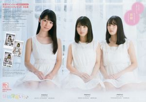 Nogizaka46 Mizuki Yamashita Momoko Ozono Shiori Kubo Tamami Sakaguchi Yuki Yoda Hazuki Mukai [Młode zwierzę] 2016 nr 24 Zdjęcie