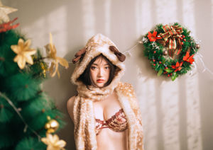 [Welfare COS] Modello Wild Lily - Natale