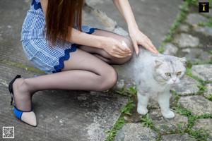 Model Nine Sisters „Dziewięć sióstr spotykających grubego kota” [Iss to IESS]