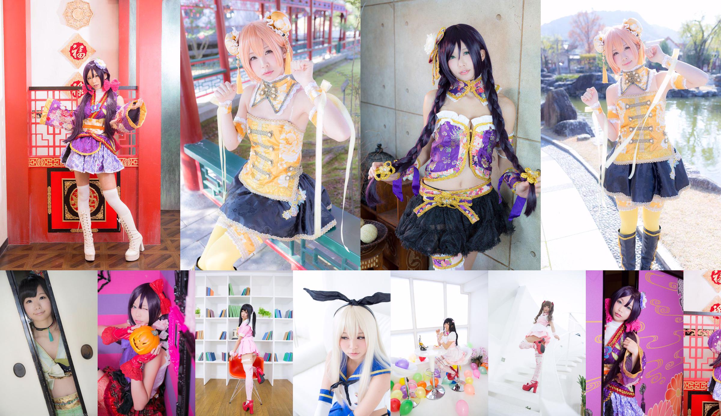 [Digi-Gra] Chrysanthemum chrysanthemum (Chrysanthemum chrysanthemum) Photoset 05 No.da2481 Halaman 6