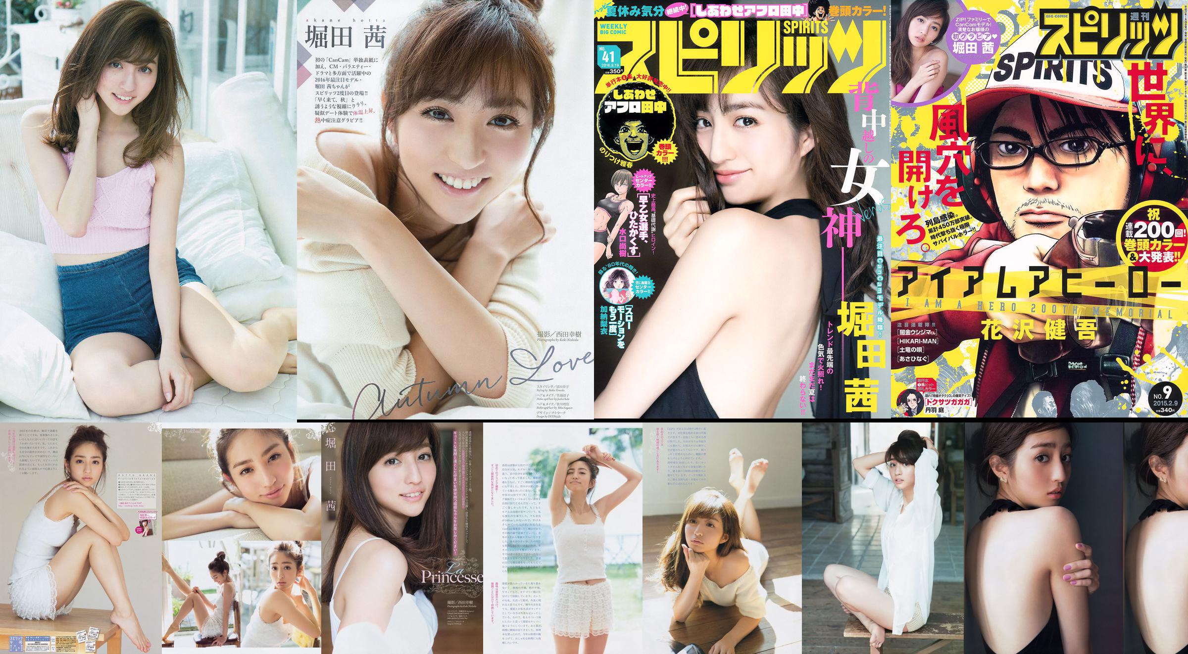 [주간 빅 코믹 스피릿] Akane Horita 2015 No.09 Photo Magazine No.17afdc 페이지 129