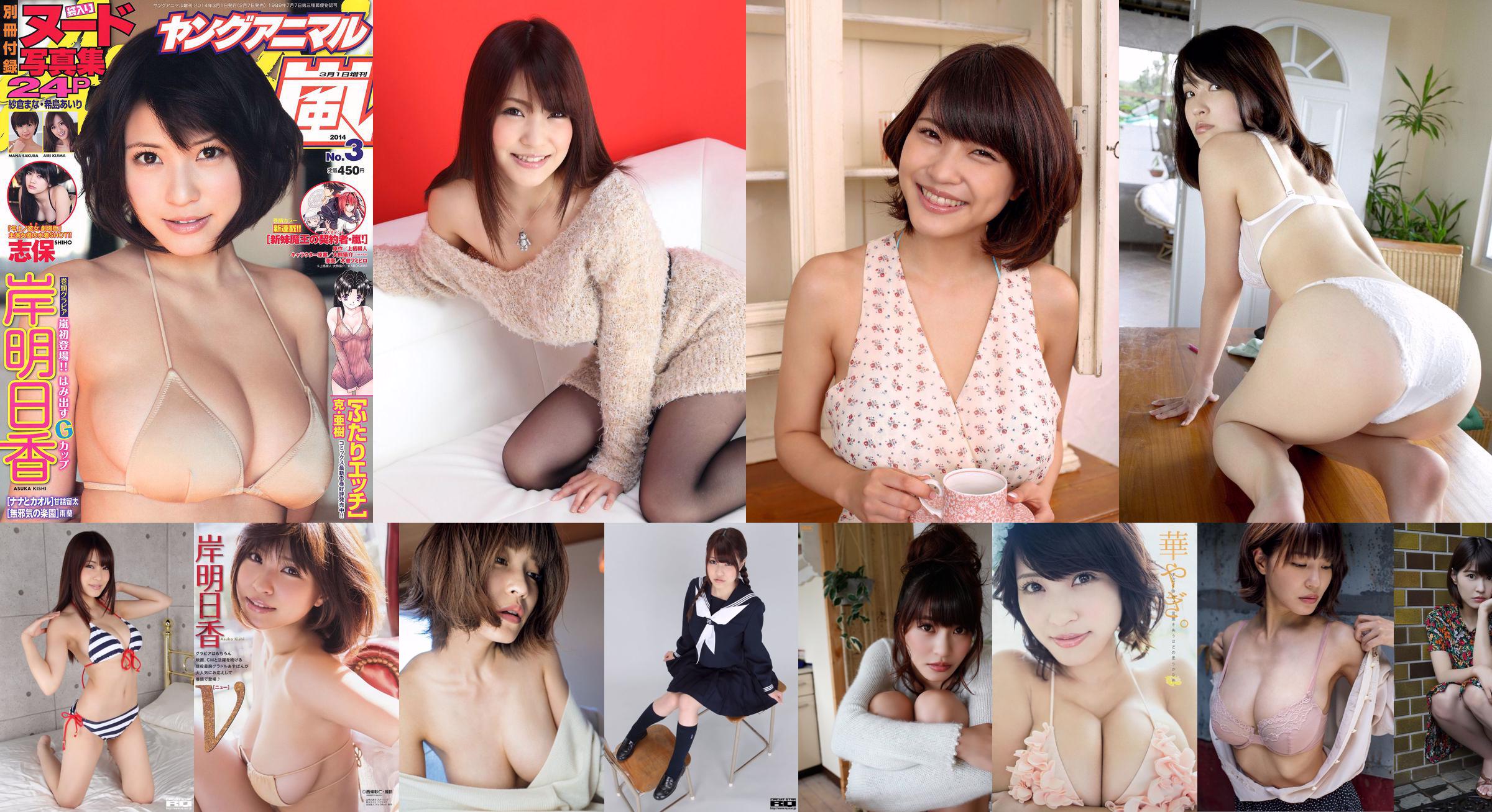 Kishi Asuka Shiho Saakura Mana Nokishima Airi [Young Animal Arashi Special Issue] Tạp chí ảnh số 03 năm 2014 No.7c90f8 Trang 3