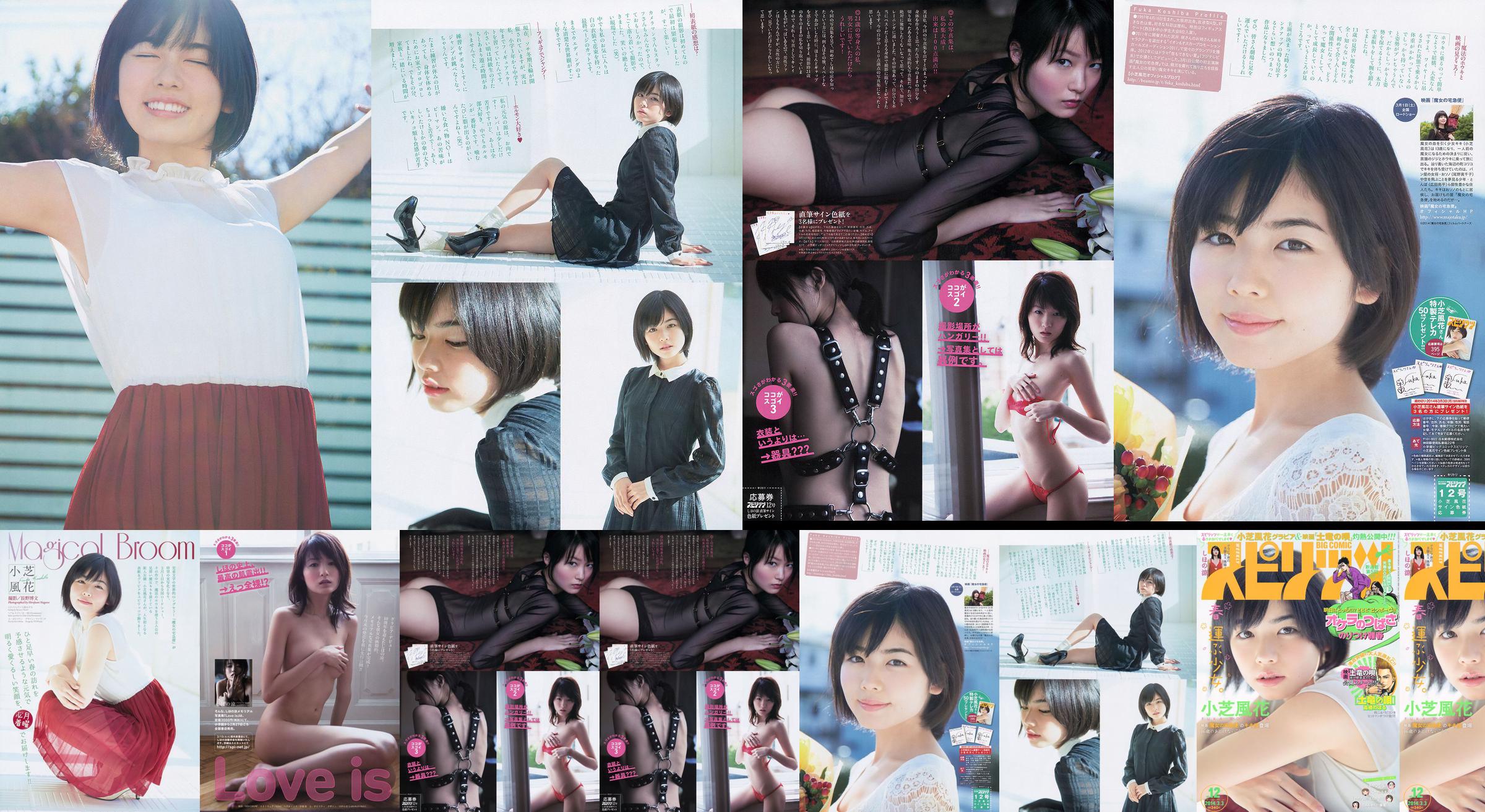 [Weekly Big Comic Spirits] Xiaoshiba Fuhua しほの凉 2014 No.12 Photo Magazine No.3de5f5 Page 1